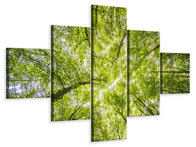 5-piece-canvas-print-under-the-treetops