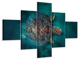 5-piece-canvas-print-valocity-turtle