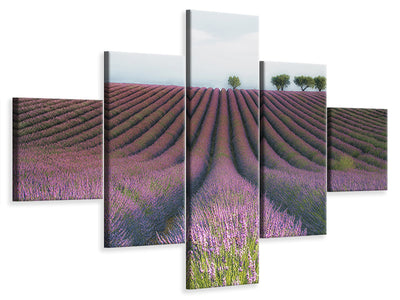 5-piece-canvas-print-velours-de-lavender