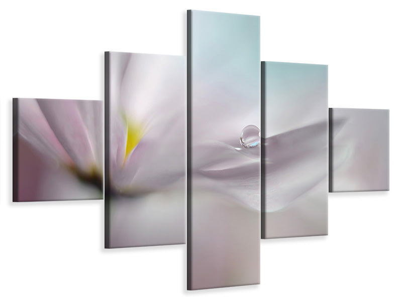 5-piece-canvas-print-where-dreams-come-true