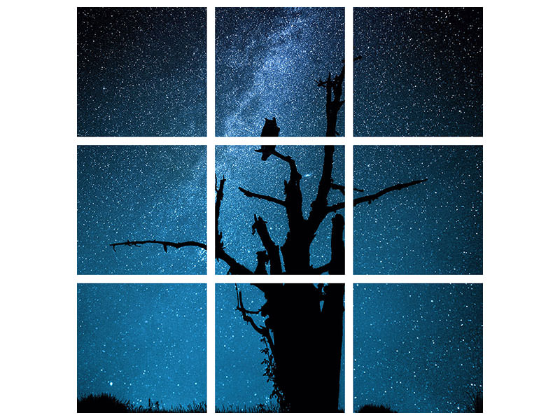 9-piece-canvas-print-alone-in-the-dark