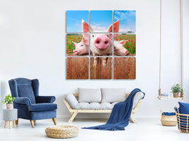 9-piece-canvas-print-pig-in-luck