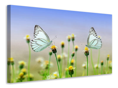 canvas-print-2-butterflies