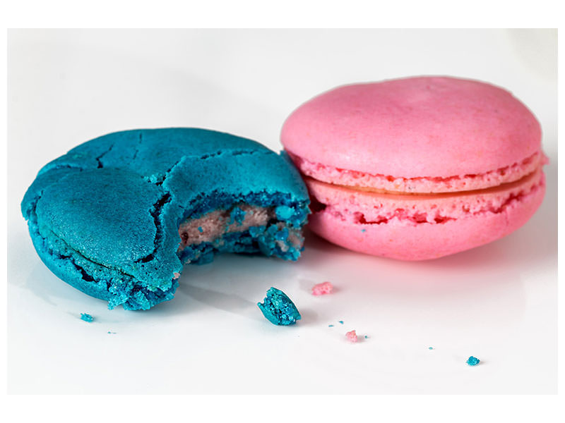 canvas-print-2-macaroons