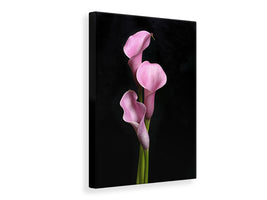 canvas-print-3-purple-callas