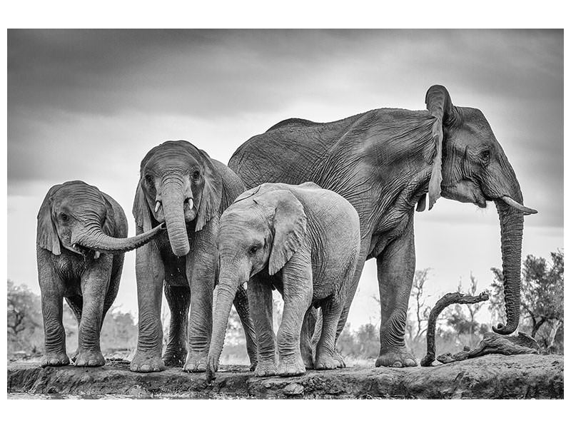 canvas-print-a-giant-unity