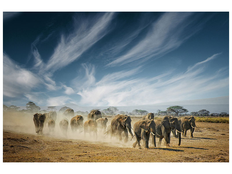 canvas-print-a-very-long-thinking