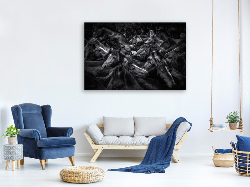 canvas-print-acorralados