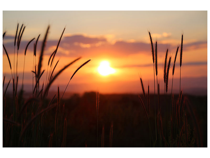 canvas-print-adorable-sunset