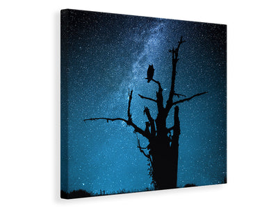 canvas-print-alone-in-the-dark