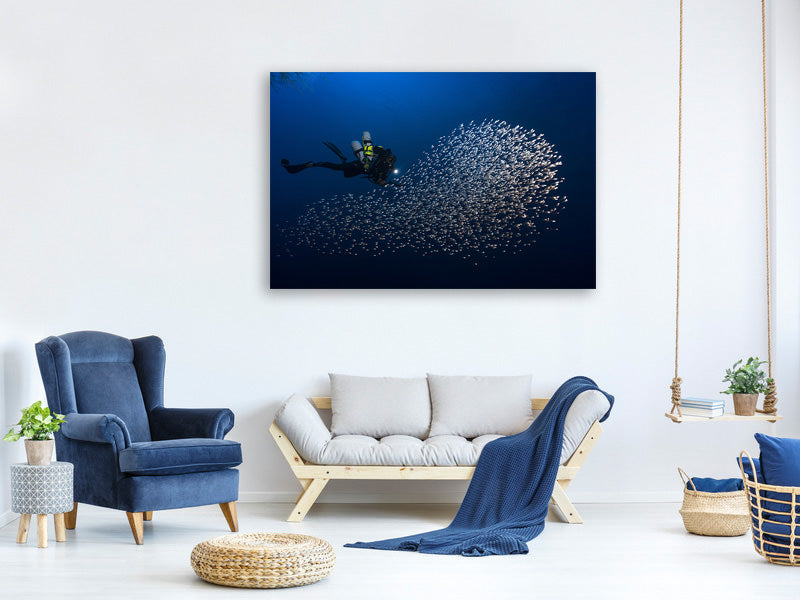 canvas-print-alvin-shoal