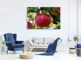 canvas-print-apple-in-xxl