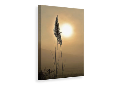 canvas-print-atmospheric