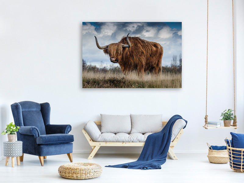 canvas-print-attention-bull