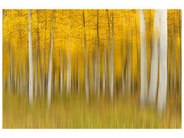 canvas-print-autumn-dream-ii