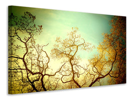 canvas-print-autumn-trees-ii