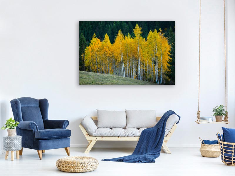 canvas-print-autumn-xfp