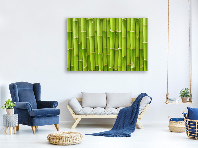 canvas-print-bamboo-wall