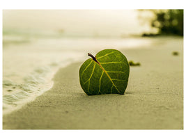 canvas-print-beach-leaf