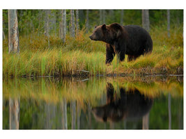 canvas-print-bear-and-fish-x