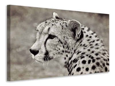 canvas-print-beautiful-cheetah