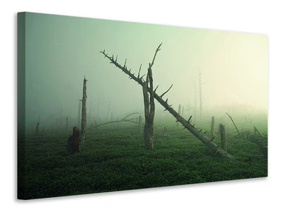 canvas-print-beautiful-rot