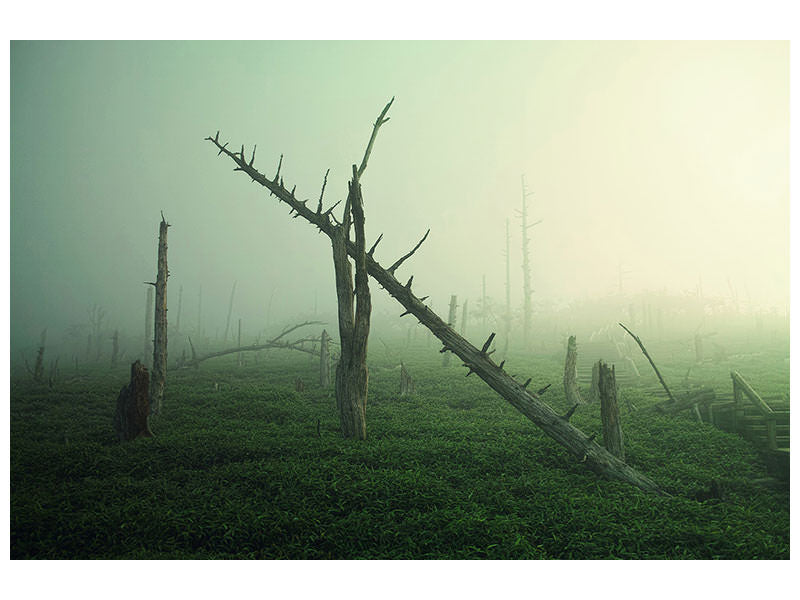canvas-print-beautiful-rot