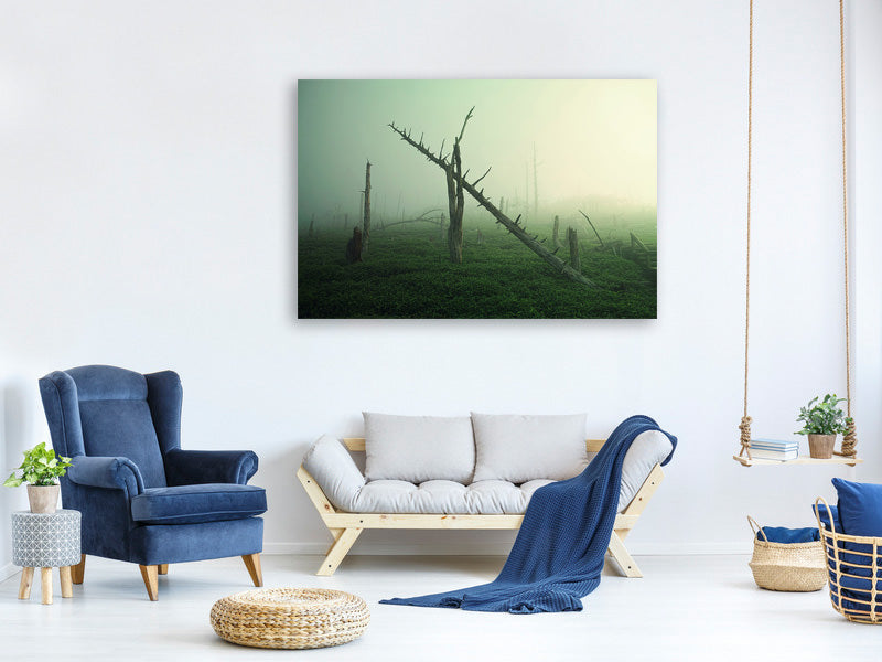 canvas-print-beautiful-rot
