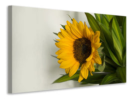 canvas-print-beautiful-sunflower