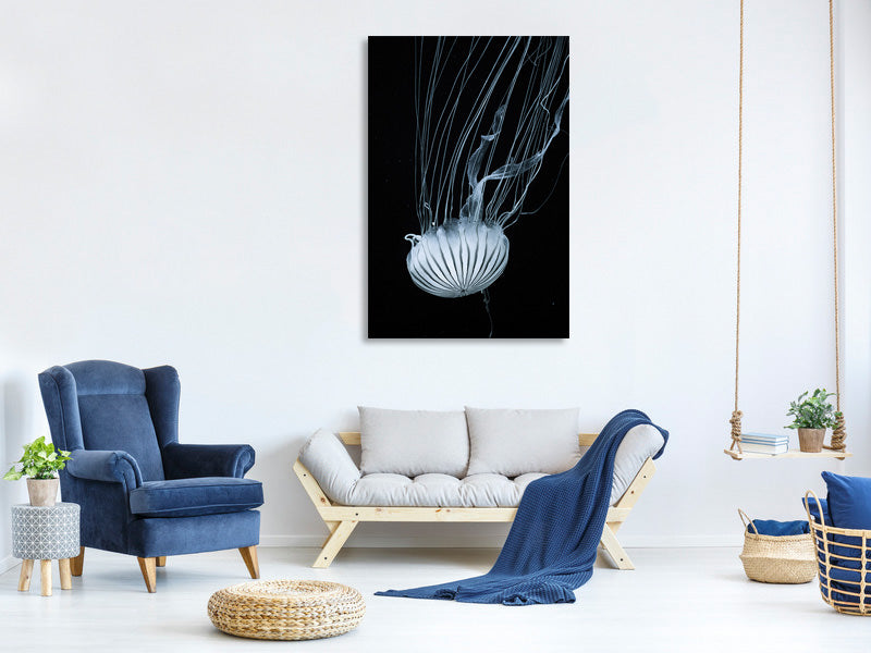 canvas-print-beware-jellyfish