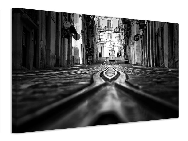 canvas-print-bica-x