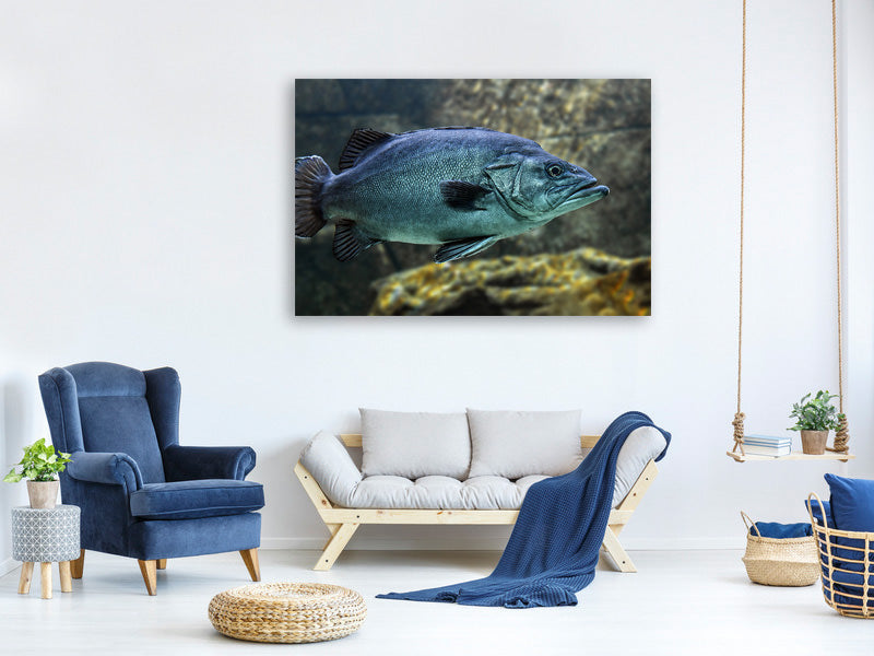 canvas-print-big-fish