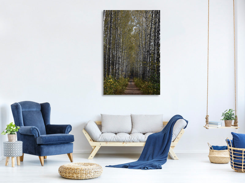 canvas-print-birch-avenue