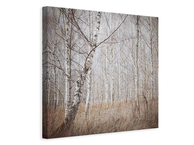 canvas-print-birch-forest-x