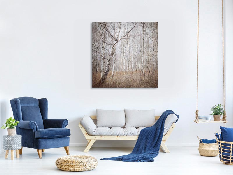 canvas-print-birch-forest-x