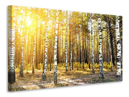 canvas-print-birch-forest