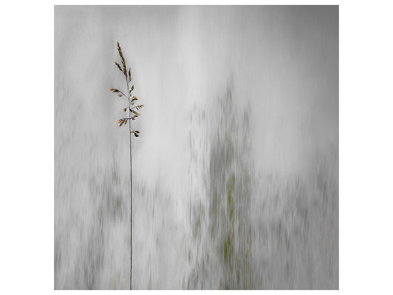 canvas-print-blade-of-grass