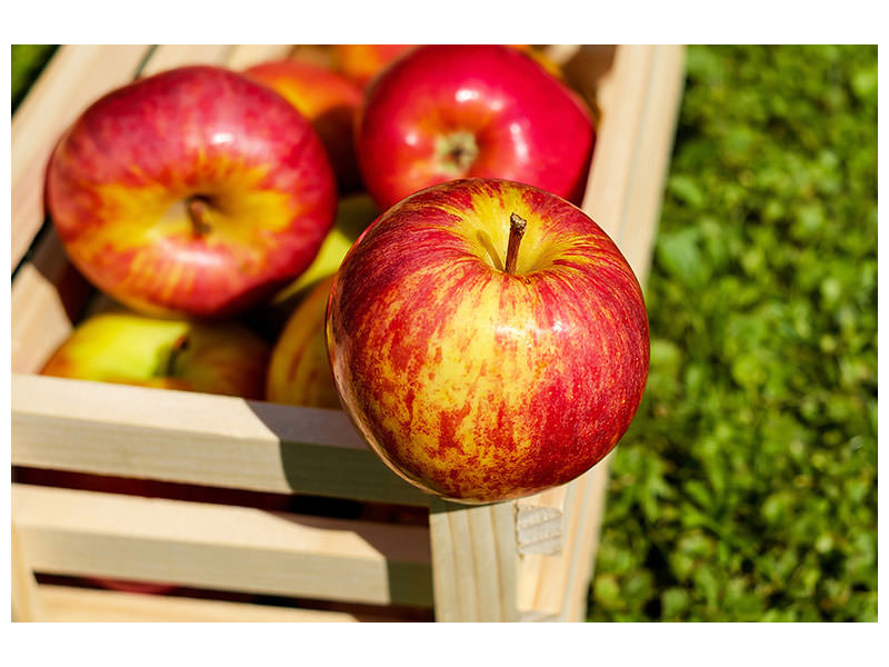 canvas-print-box-of-apples