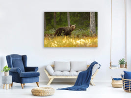 canvas-print-brown-bear-x