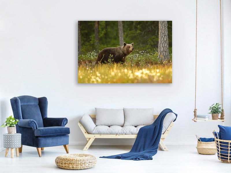 canvas-print-brown-bear-x