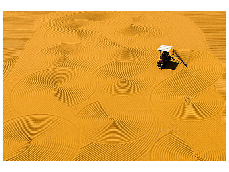 canvas-print-bulgur-drying