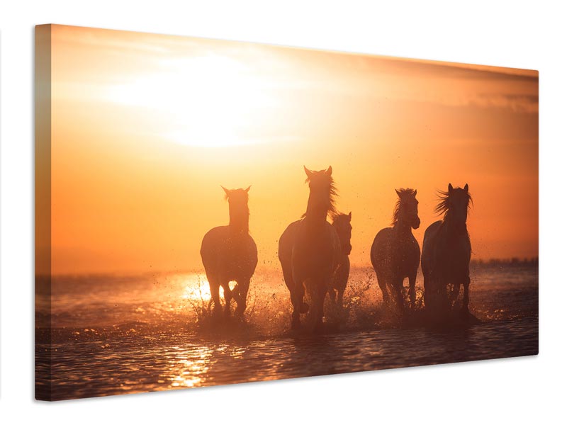 canvas-print-camargue-angels-x