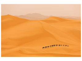 canvas-print-camels-caravan-in-sahara-x