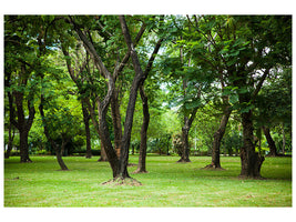 canvas-print-cherry-garden