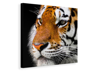 canvas-print-close-up-tiger-head