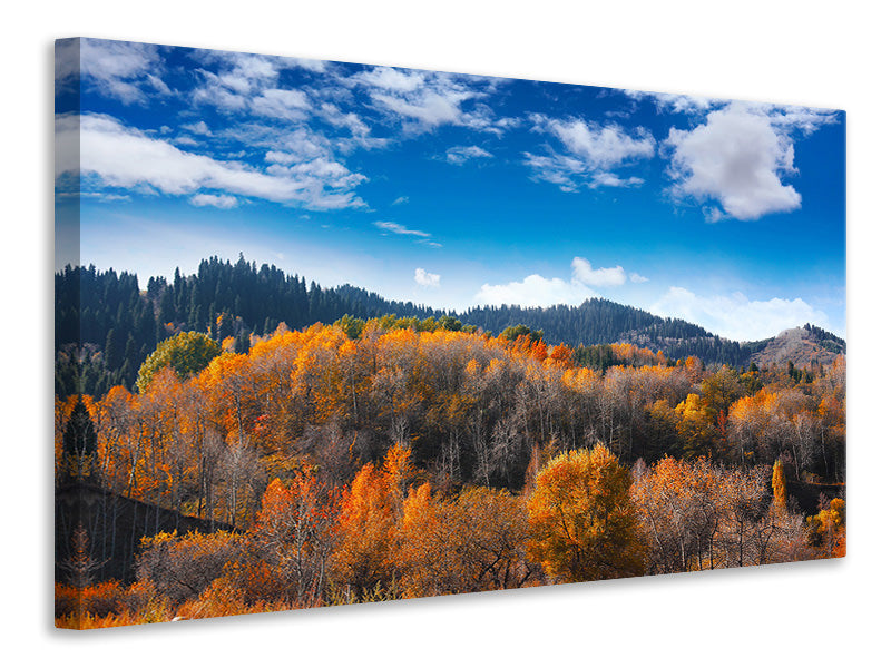 canvas-print-clouds-gather