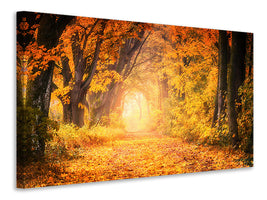 canvas-print-colors-magnificent-forest