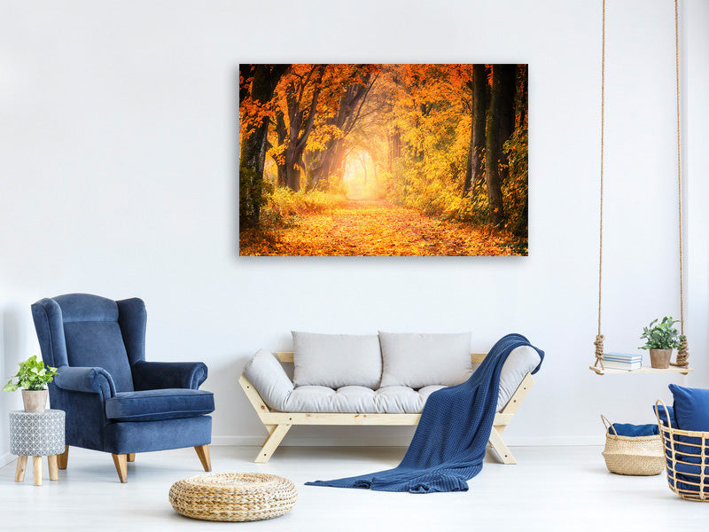 canvas-print-colors-magnificent-forest