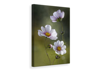 canvas-print-cosmos-ii