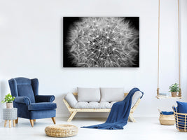 canvas-print-dandelion-in-xxl